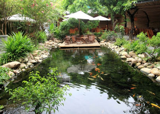 THIẾT KẾ NHÀ CẤP 4